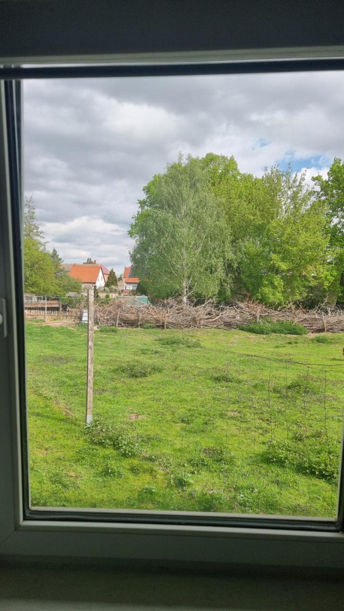 Zimmervermietung Zahn Baalberge エクステリア 写真